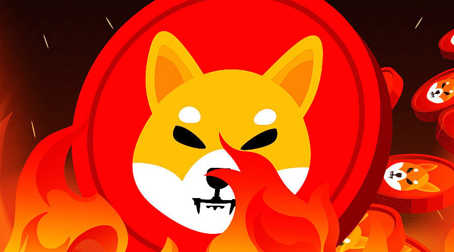 Can SHIB Recover Despite Slower Burns?