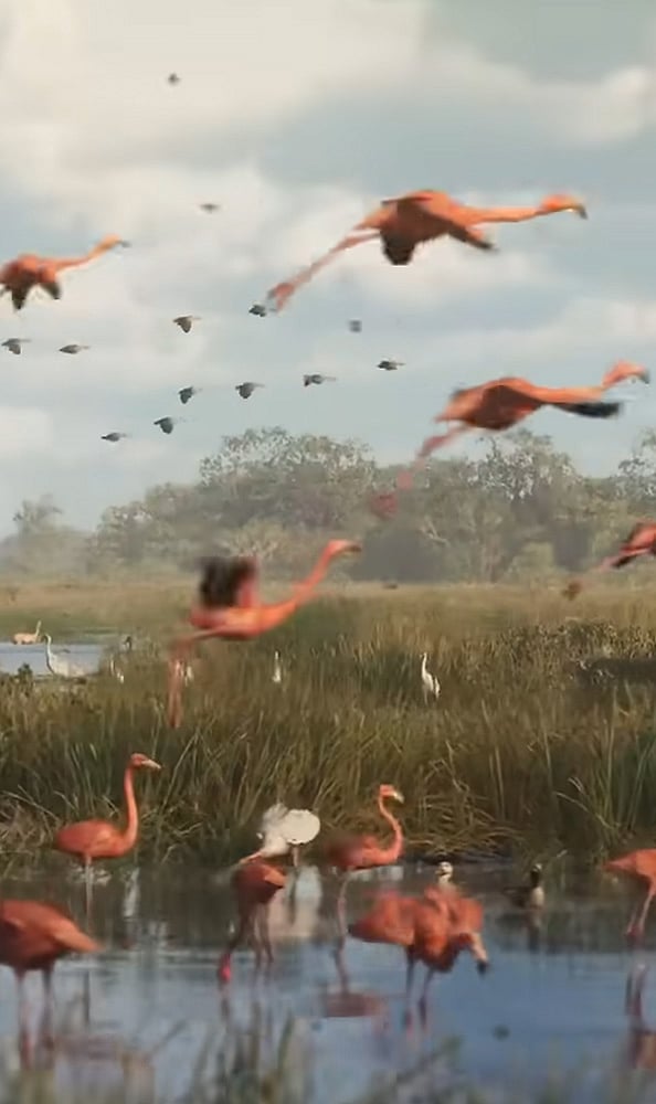 Wildlife Encounters: