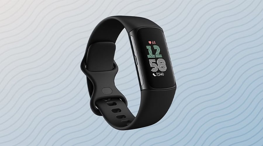 Leak or Next Fitbit Hit?
