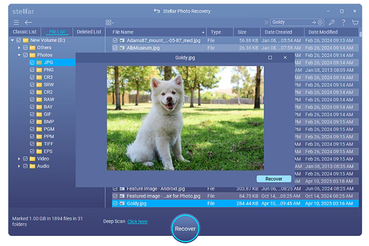 photo recovery software