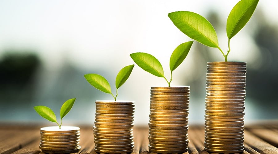 Growing Wellness Market