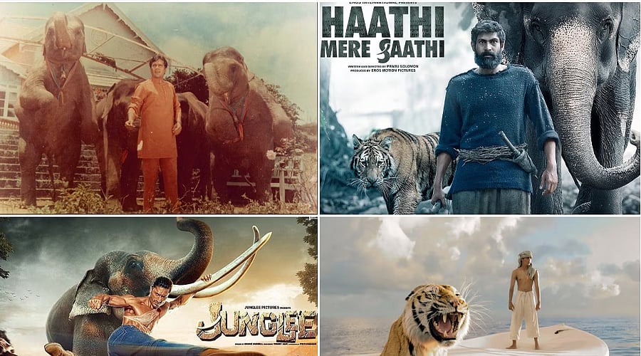 Animal-Centred Films
