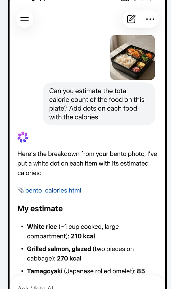 Web Search and Information Retrieval: Developers can enable web search grounding through Meta Model API, allowing AI applications to retrieve current information and support responses with relevant sources.