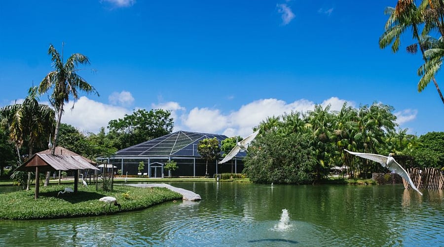 AI-Powered-Resort-Recommendations.jpg