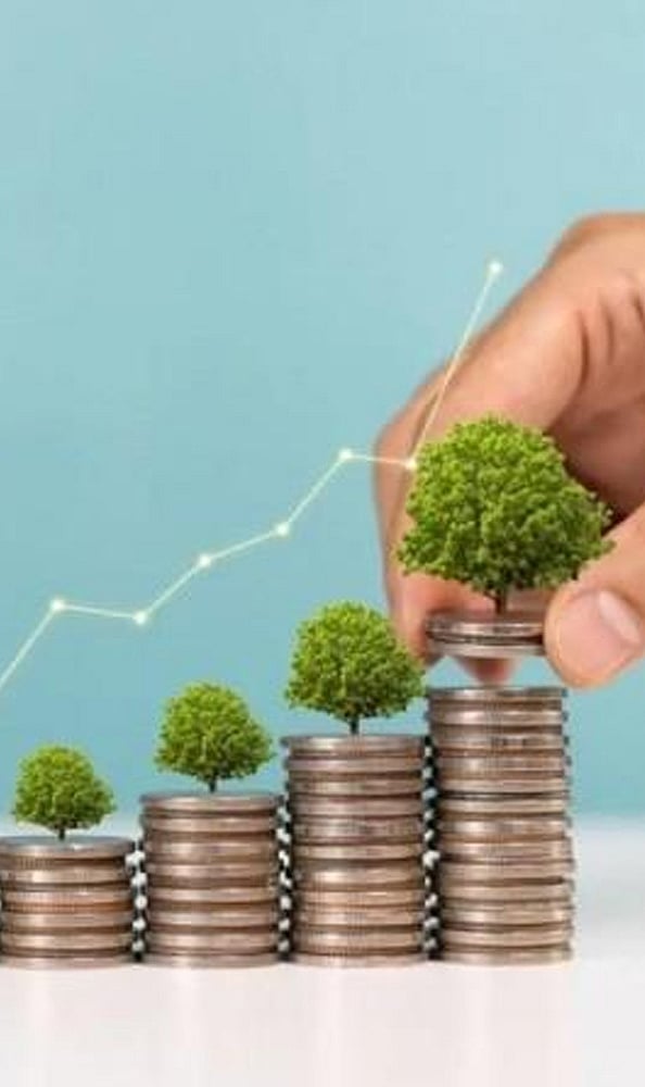 Investments Can Contribute Earnings: Banks invest in eligible financial instruments, including government securities, to earn returns and manage liquidity requirements.