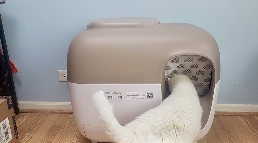 PetSnowy and the Rise of High-Tech Gadgets for Pets