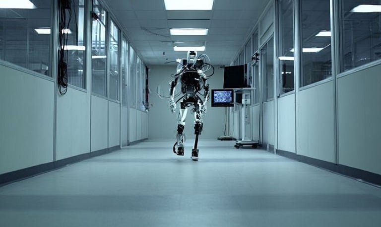 Bipedal balance
