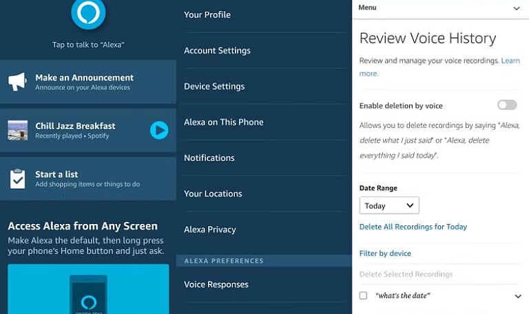 Delete Alexa Command History