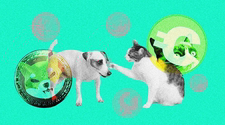 Shiba Inu vs Catcoin: The Bark and Meow Battle Continues