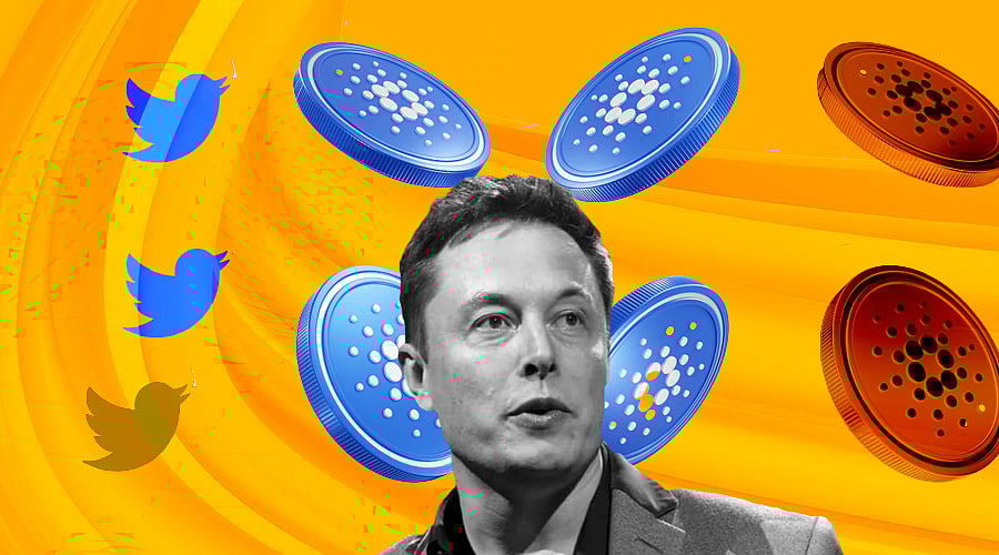 Cardano & Twitter Collab! Will Musk accept a Decentralized SM Opportunity?