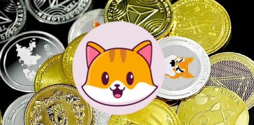 Catecoin launched a Crypto wallet like Trust wallet, supporting five ...