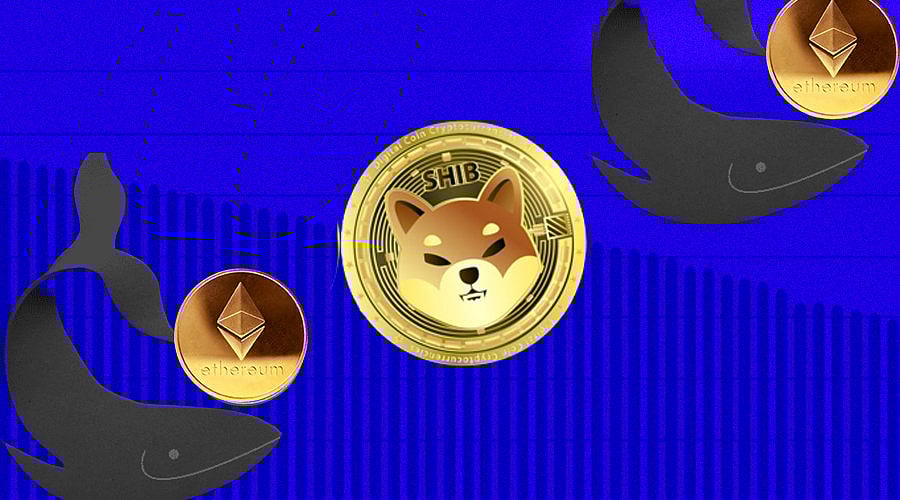 Even Ethereum Whales are Losing Interest in Shiba Inu! Why?