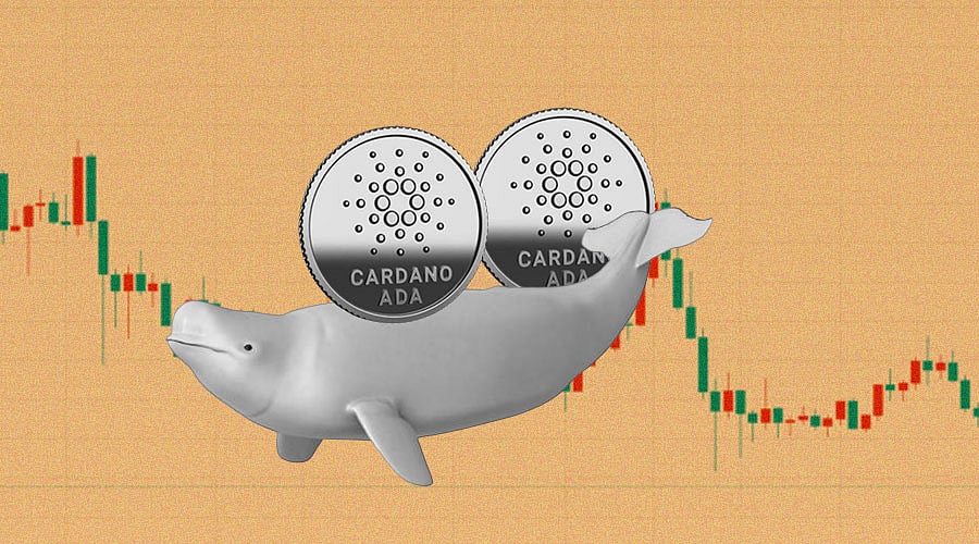 Cardano Whales are Staking up ADA Tokens, Thanks to the Vasil Upgrade