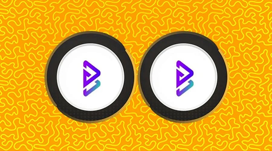 Is Bitgert (BRISE) The Crypto Gem of 2022? Why It Shall Reward Holders  Better Than Litecoin and Bitcoin This Year