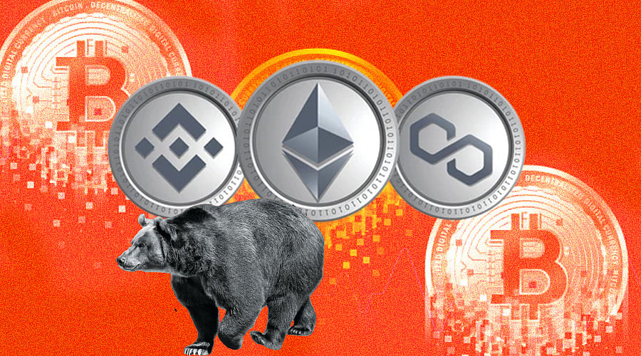 Best Crypto to Invest In the Bear Market
