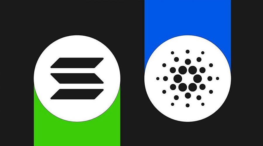 Solana and Cardano Price Predictions This Weekend | Why Bitgert Is  Outperforming Them