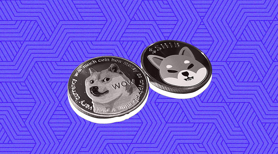 Dogecoin and Shiba Inu Pumps but Still Couldn't Match Up Bitgert (BRISE ...