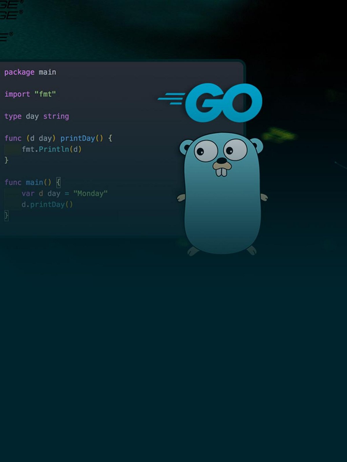 Go Programming Language's Most request features will Make It's Coding ...