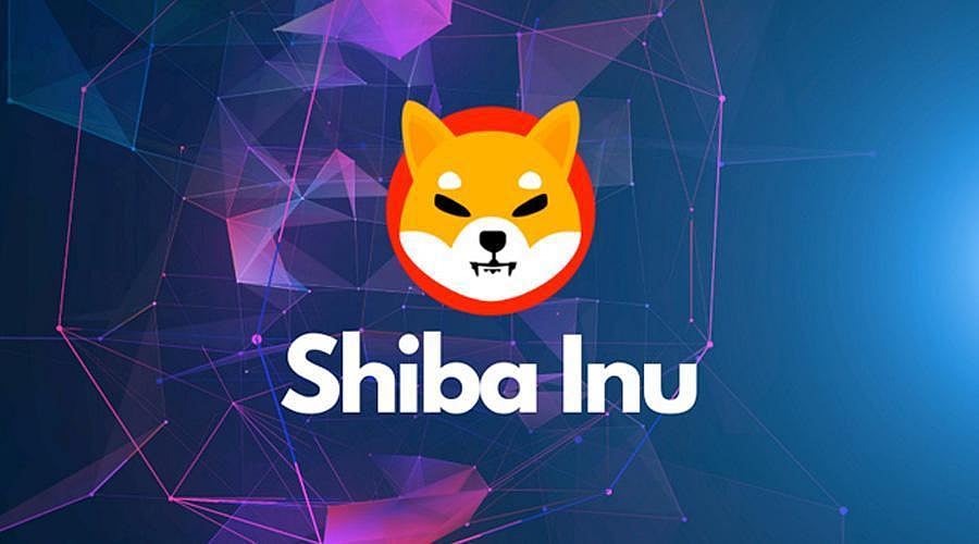 SHIBA INU Price Prediction - Forget This Meme Coin; You Need To Invest In  This Crypto And Earn 100x More Gains!