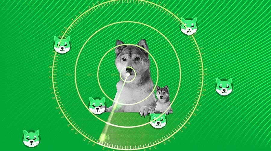 Shiba Inu is on the Radar of the Largest Crypto Whale! Records US$2T  Transaction