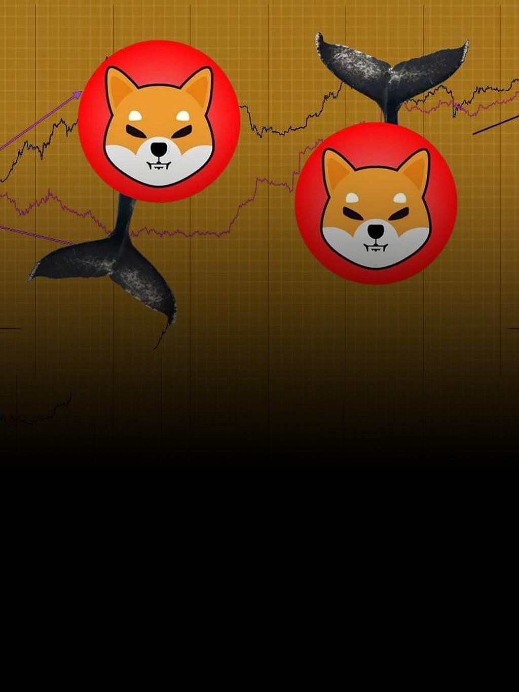 Shiba Inu Needs Saving from Bear Trends! Whales are Coming to the Rescue