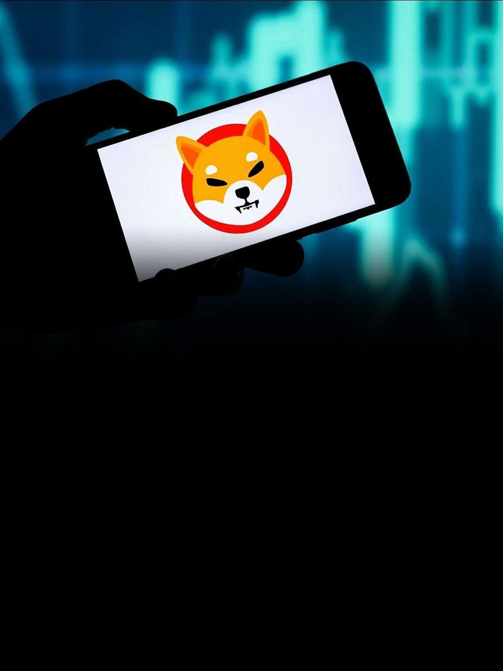 Shiba Inu (SHIB) price set by financial analysts for 2025