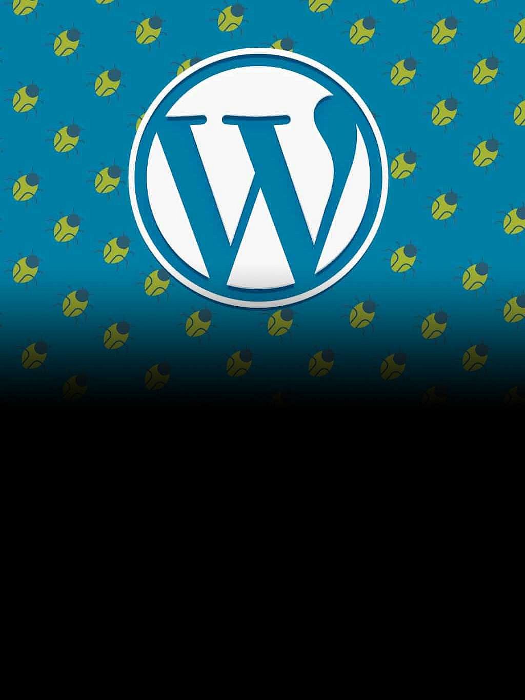 wordpress-plugin-vulnerabilities-pose-serious-threat-to-2-lakh-websites