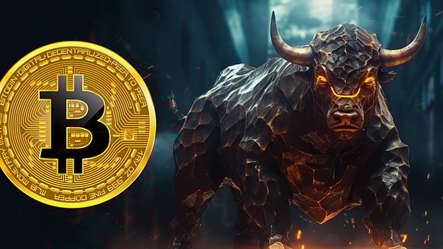 Crypto Bull Run Predictions Which Coins to Buy Ahead of the Next Bull