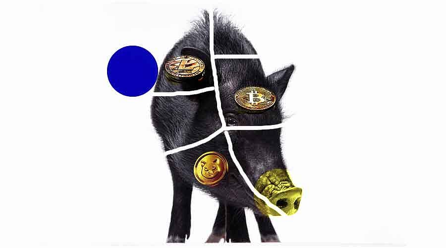 Dark Truth Of Billion Dollar Crypto Pig Butchering Industry