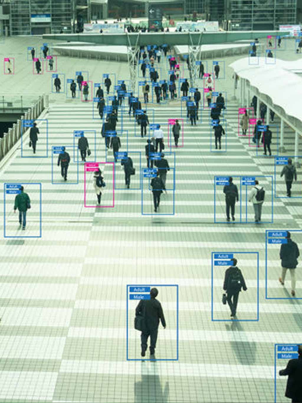 Top 5 DAM Software Solutions with AI Image Tagging