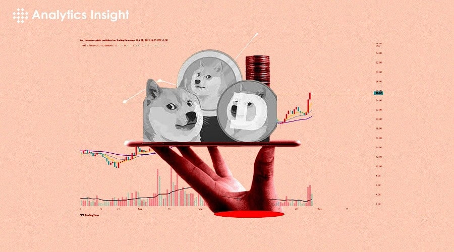 10 Best Meme Coins to Invest in Feb 2024