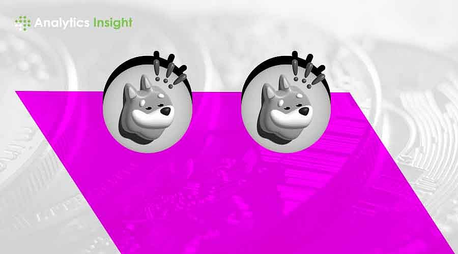 BONK Token Skyrockets: 204% Surge Leaves Investors in Awe!