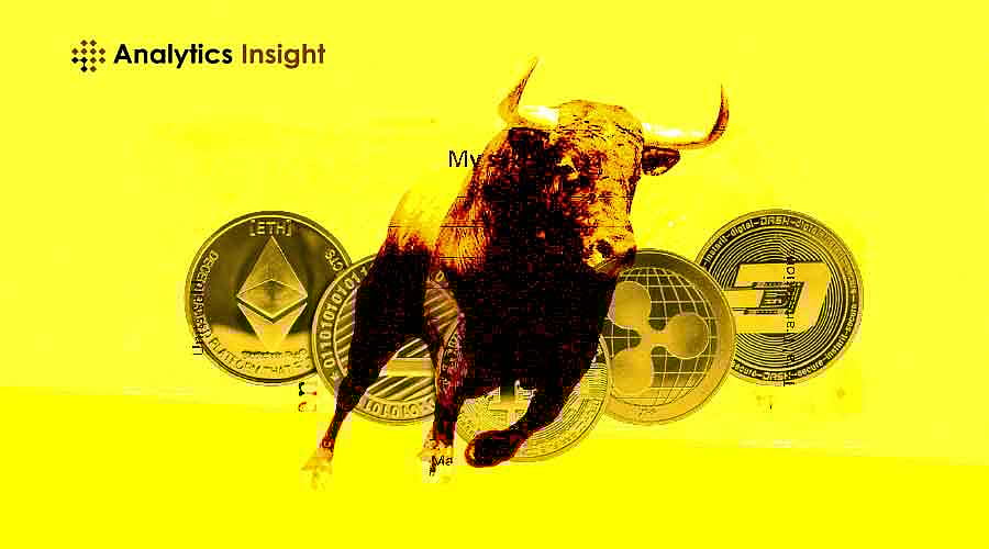 Bullish Momentum: Unstoppable Crypto Gainers of Last 24 Hours