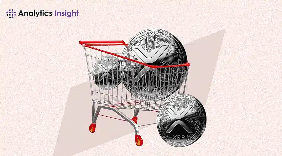 How to Buy XRP: A Step-by-Step Guide for Beginners