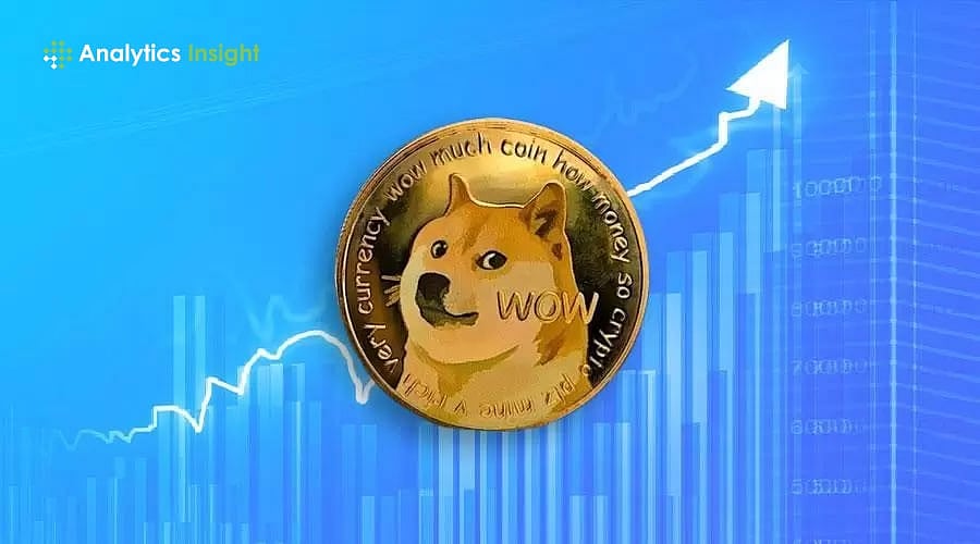 10 Best Items You Can Purchase with DOGE