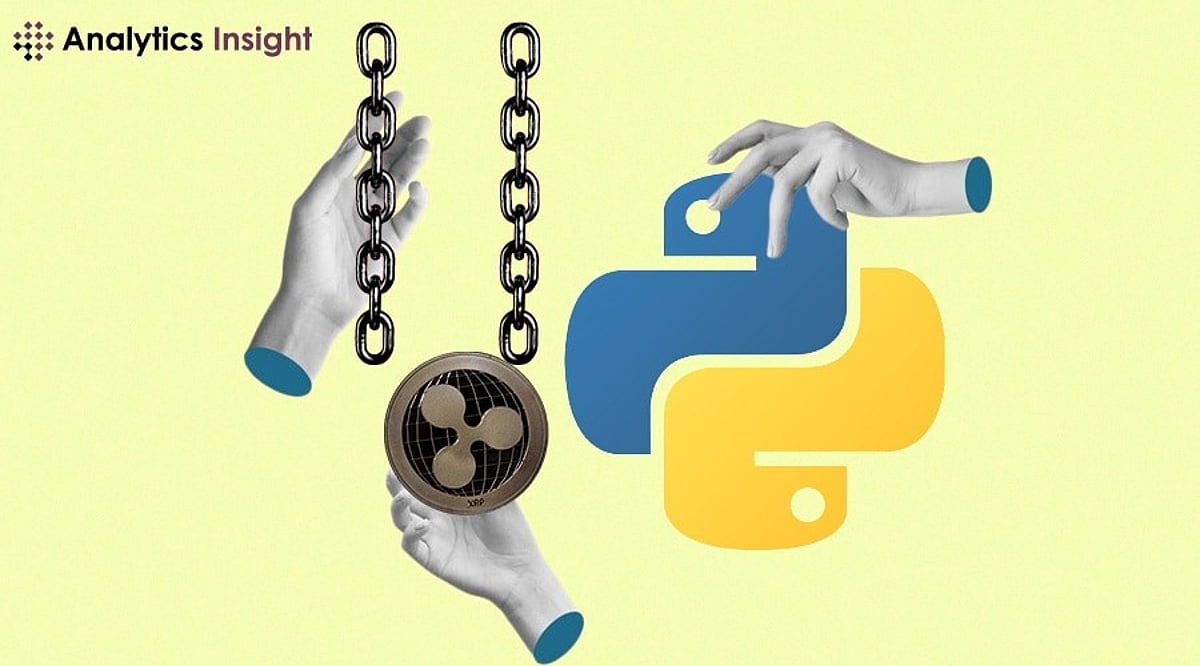 How to Build Your Blockchain and Cryptocurrency in Python?