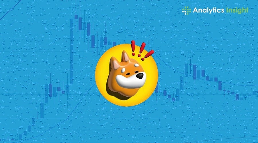 Bonk Price Analysis: Rise of a Solana Meme Coin