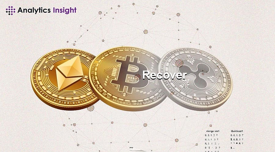 Guide to Recover Cryptocurrency Sent to the Wrong Network