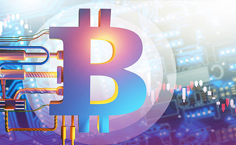 Forecasting Raffle Raffle Platform