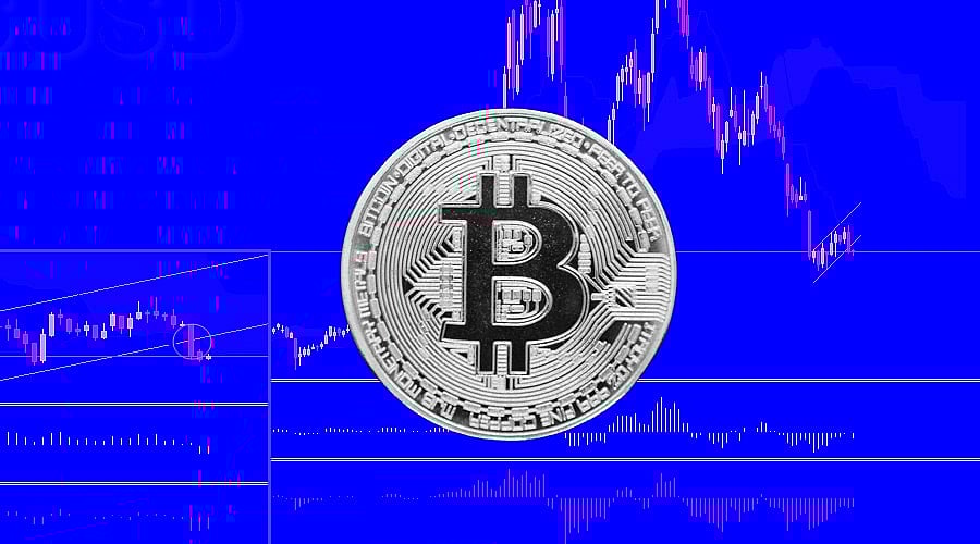 Bitcoin Boost: US Crypto Stocks Soar After Halving Event