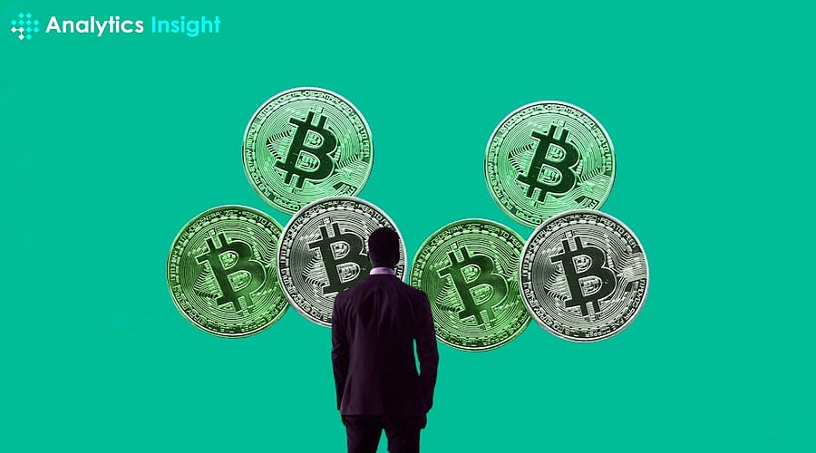 Is It Too Late to Jump into Crypto? Insights For Newcomers