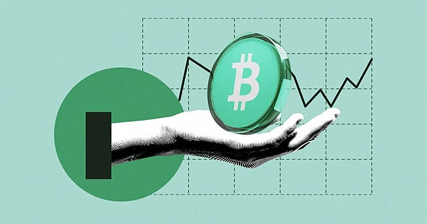 Koala Coin (KLC) Capitalizing on Bitcoin Cash (BCH) Stability and the ...