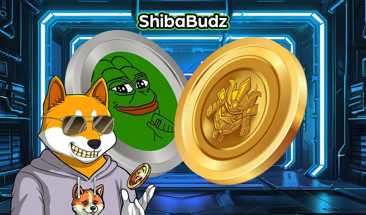 Pepecoin 2.0: New PEPE Rival Launches On Uniswap Predicted Mass ...