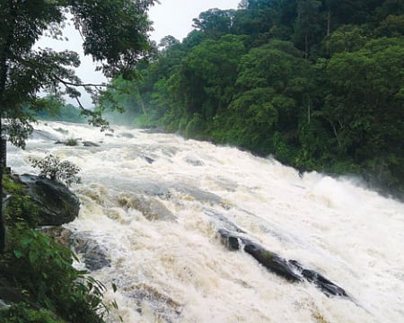 வால்பாறைக்குத் தேர்தல் வருவது உறுதி!
