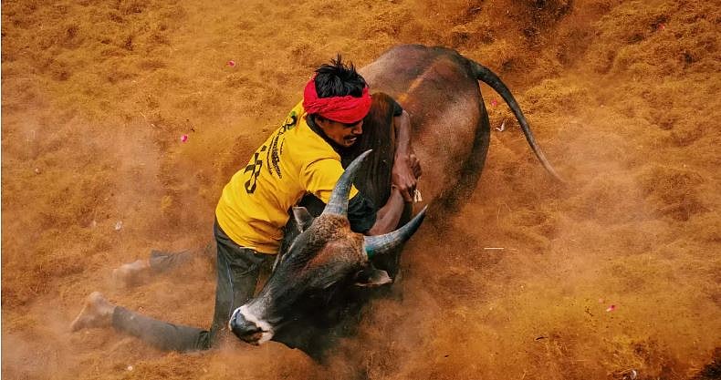 அலங்காநல்லூர் ஜல்லிக்கட்டு தொடங்கியது!