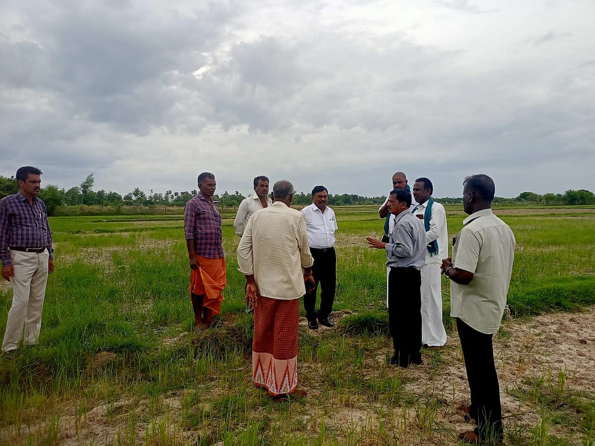 12ஆயிரம் நெல் மூட்டைகள் சேதம்- மூடிமறைக்க முயல்வதாகக் குற்றச்சாட்டு!

