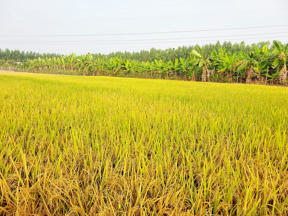 விவசாயக் கடனுக்கும் சிபில் ஸ்கோர் கட்டாயமா? என்ன இது அநியாயம்?