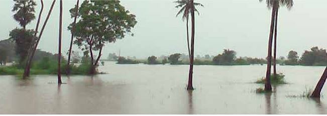 இலங்கையில் வெள்ளம்- கிழக்கு மாகாணத் தமிழர்கள் 70,000 பேர் பாதிப்பு!