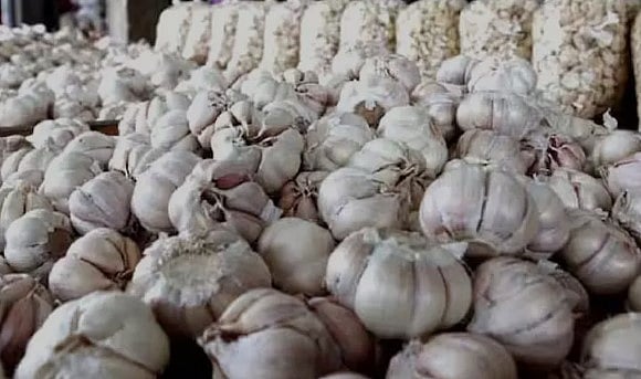 ‘கிலோ 500 ரூபாய்’ - வரலாறு காணாத அளவு பூண்டின் விலை உயர்வு!