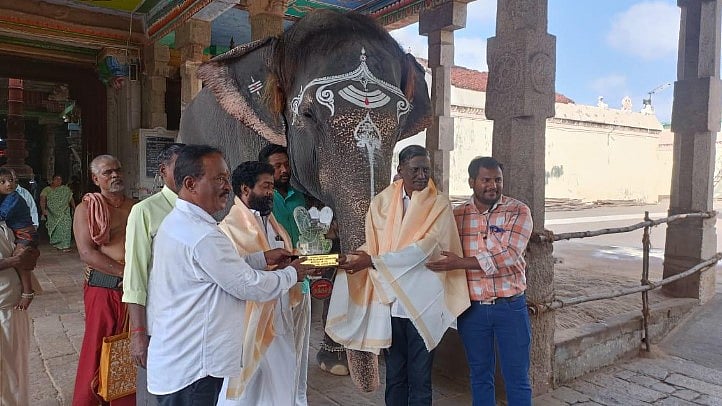 தமிழ்நாட்டின் சிறந்த யானையாக கும்பகோணம் மங்களம் தேர்வு!